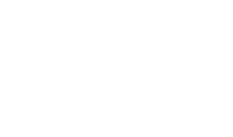 ColorMax