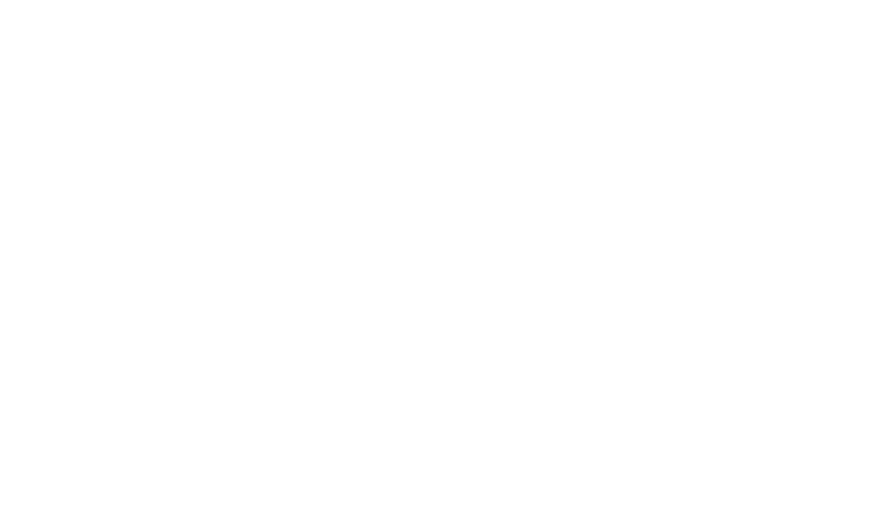 ColorMax